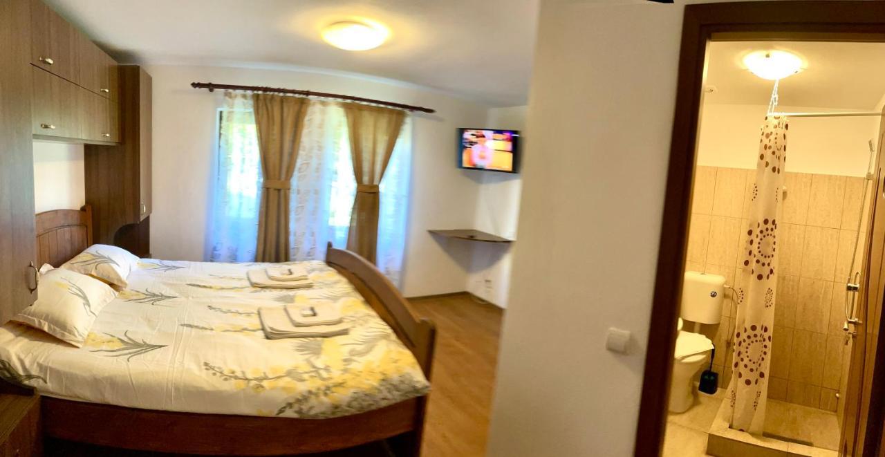 Hotel Casa De Sub Salcie à Curtea de Argeş Extérieur photo